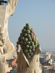 20862 Fruit.jpg
